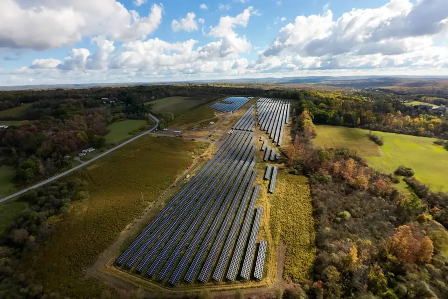 Ground-mount solar array receding into woodland photographed from the air